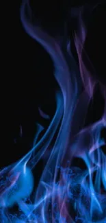 Mystical blue and purple flames on black background wallpaper.