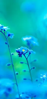 Vibrant blue flower wallpaper with delicate blossoms.