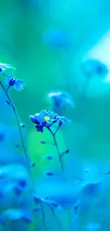 Dreamy blue flowers on a lush green background.