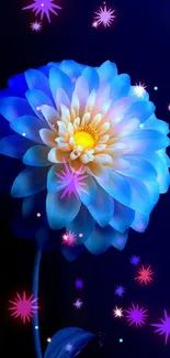 Vibrant blue and yellow flower on a dark background.