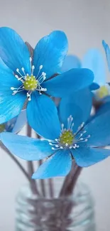 Vibrant blue flowers in a glass vase.