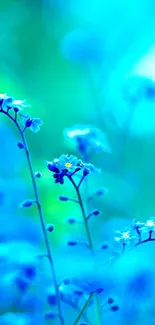 Vibrant blue flowers on a lush green background, creating a calming wallpaper.