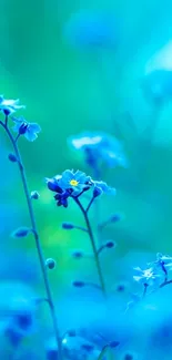 Vibrant blue floral mobile wallpaper with nature setting.