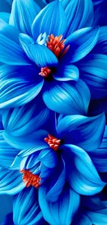 Vibrant blue floral wallpaper with red centers and detailed petals.