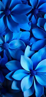 Vibrant blue flowers creating an elegant and serene wallpaper.