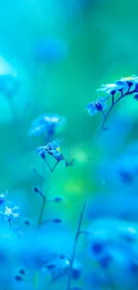 Vibrant blue floral wallpaper with delicate flowers and serene background tones.