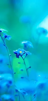 Vibrant blue flower wallpaper with serene nature.