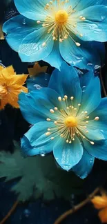 Vibrant blue and yellow flower wallpaper with realistic details and dark background.