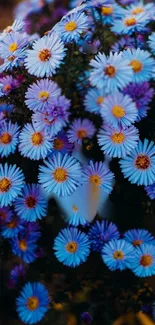 A vibrant wallpaper featuring blue daisy-like flowers creating a lively display.