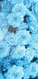 Bright blue floral wallpaper with soft blooms and rich texture.