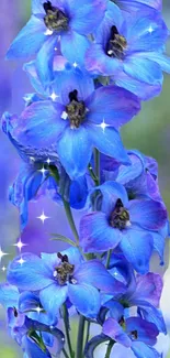 Vibrant blue flowers with sparkles in a mesmerizing wallpaper design.