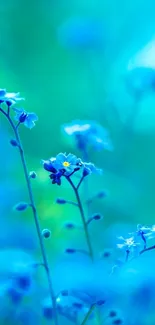 Vibrant blue floral wallpaper with delicate flowers.