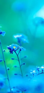 Vibrant blue flowers with soft green background.