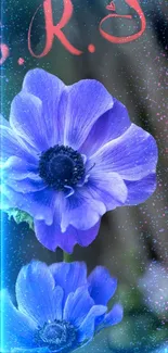 Close-up of blue flowers with sparkles and artistic accents on a digital wallpaper.