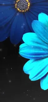 Vibrant blue flowers on black background for phone wallpaper.