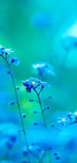 Serene wallpaper with vibrant blue flowers on stems.