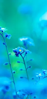 Vibrant blue flowers in a serene natural setting for mobile wallpaper.