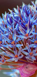 Close-up of a vibrant blue flower with intricate petals.