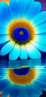 Vibrant blue flower with reflections on water in a colorful sunset background.