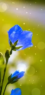 Vibrant blue flower with green blurred background mobile wallpaper.