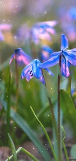 Close-up of vibrant blue flowers with dreamy bokeh effect.