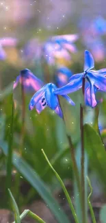 Vibrant blue flower with greenery background.