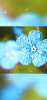 Vibrant blue flower with dewdrops and bokeh background.