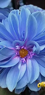 Blue flower with honeybee on vibrant petals.