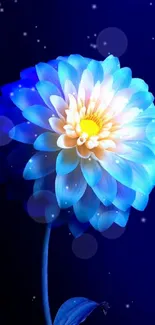 Blue flower with vibrant petals on a dark background wallpaper.