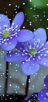 Vibrant blue flowers with lush petals on a natural mobile wallpaper background.