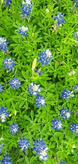 Beautiful green and blue floral wallpaper for mobile.