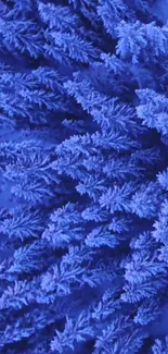 Vibrant blue frosted ferns creating a serene and calming phone wallpaper.