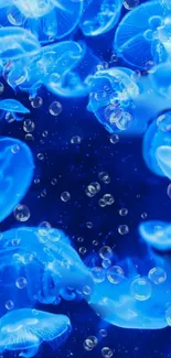 Blue jellyfish illuminated in ocean wallpaper.