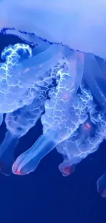 Vibrant blue jellyfish glowing in deep ocean waters.