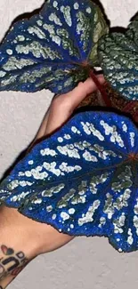 A vivid blue leaf with white speckles and a tattooed hand.