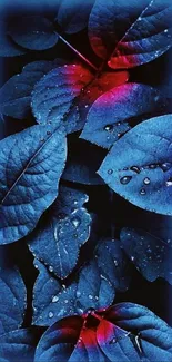 Blue leaves with neon highlights mobile wallpaper.