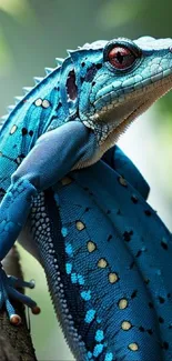 A vibrant blue lizard perched on a tree branch with detailed textures.