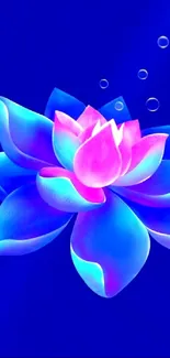 Vibrant blue lotus flower on a vivid background.