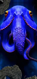 Vibrant blue octopus artwork in a stunning mobile wallpaper design.