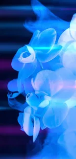 Vibrant blue orchid with abstract digital lighting effect.