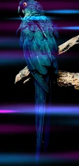 Bright blue parrot resting on branch with dark background.