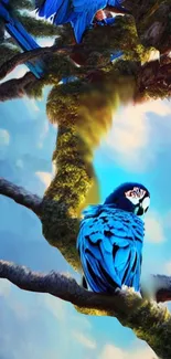 Blue parrot perched on a branch against a cloudy sky.