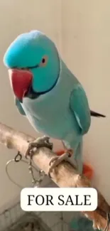 Blue parrot perched on a branch with vivid colors.