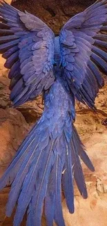 Blue parrot in flight on rocky background.