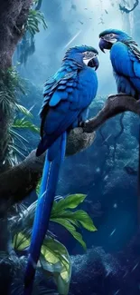 Two vibrant blue parrots perched in a lush tropical forest setting.