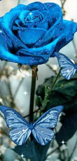 Vibrant blue rose with butterflies on wallpaper.