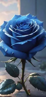 Vibrant blue rose on a soft background.