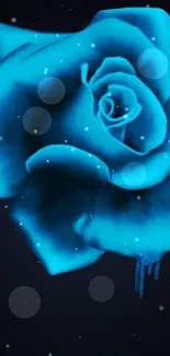 Blue rose on a dark starry background with sprinkled light spots.