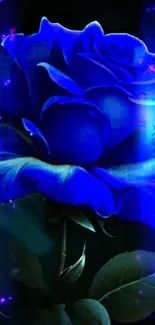 Mobile wallpaper featuring a vibrant blue rose with deep shades and detailed petals.