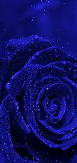 A vibrant blue rose with dew drops and a starry background.